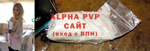 сатива Надым