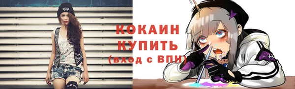 сатива Надым