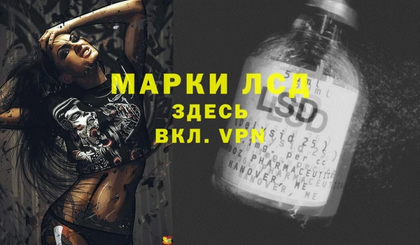 сатива Надым