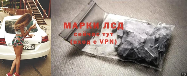 сатива Надым