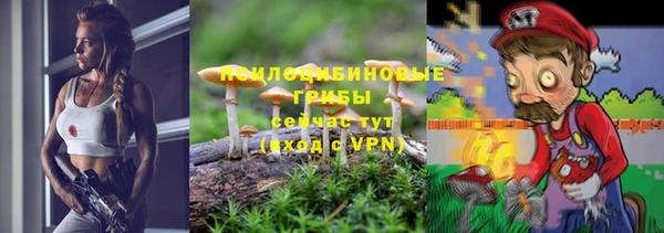 сатива Надым