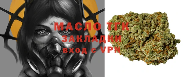 сатива Надым