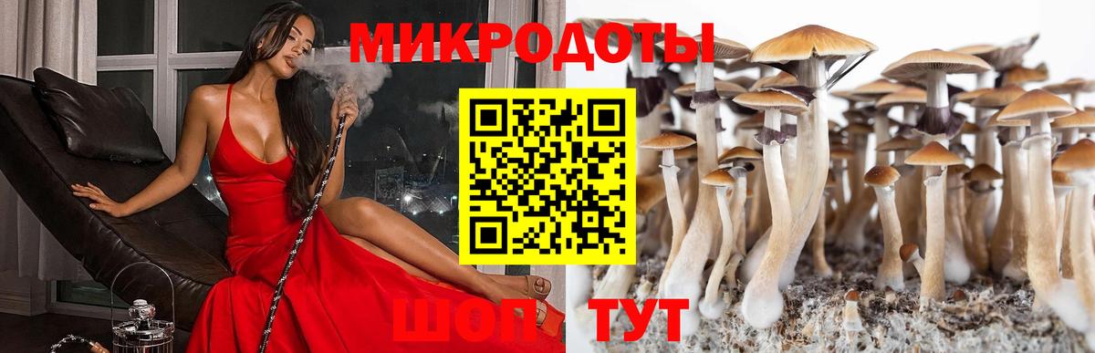 Галлюциногенные грибы GOLDEN TEACHER Канск